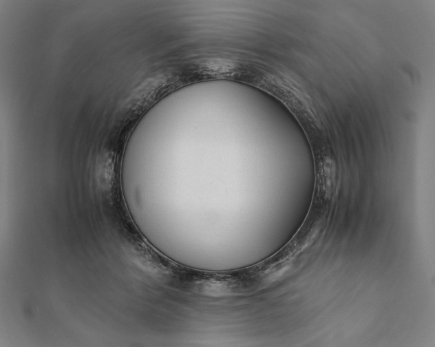 X0000112050412200908181140