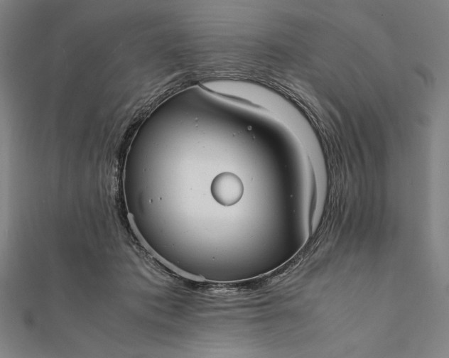 X0000112050413200908181140