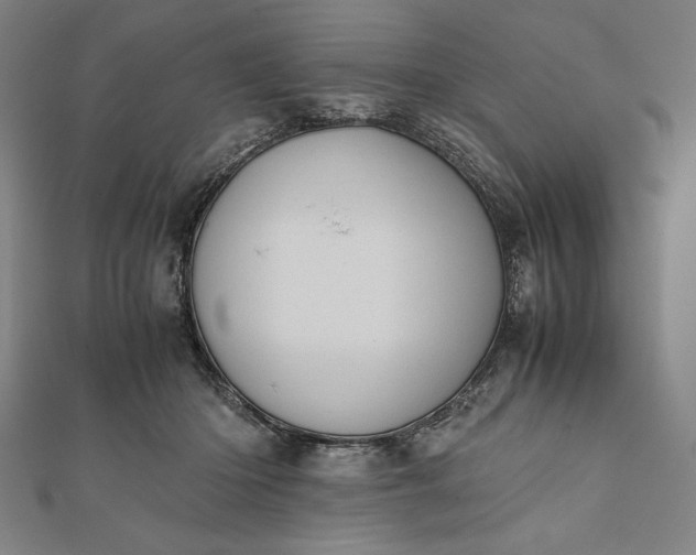 X0000112050414200908181140