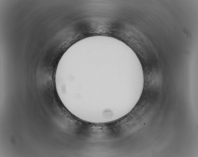 X0000112050415200908181140