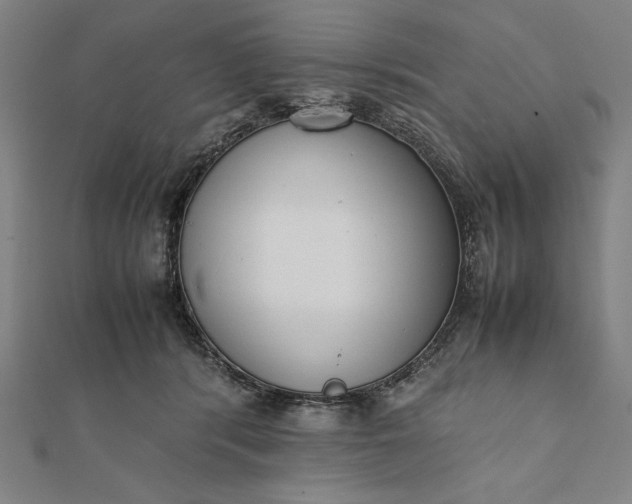 X0000112050416200908181140