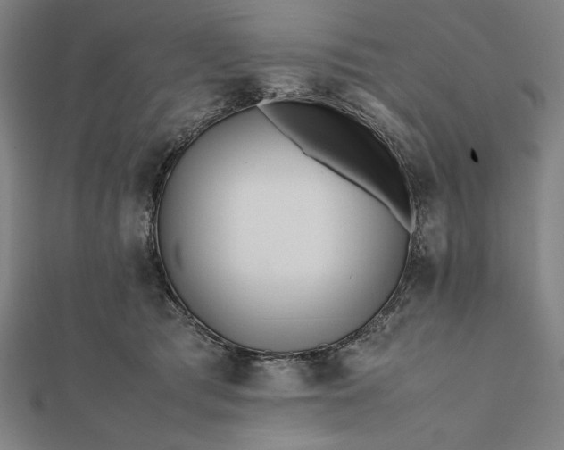 X0000112050417200908181140