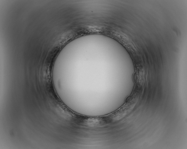 X0000112050418200908181140