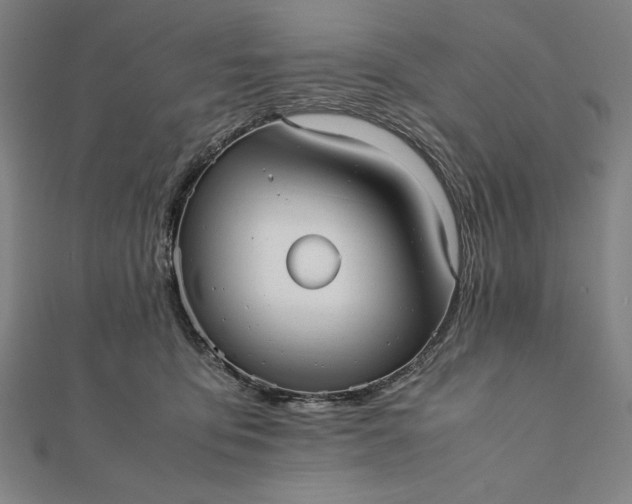 X0000112050419200908181140