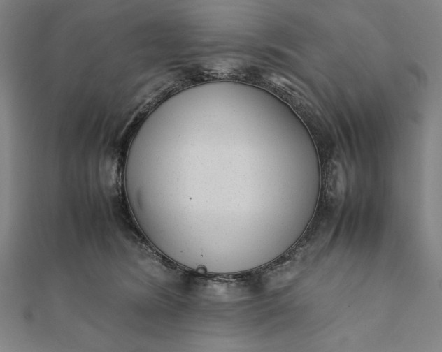 X0000112050420200908181140