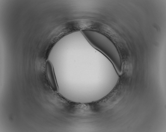 X0000112050421200908181140