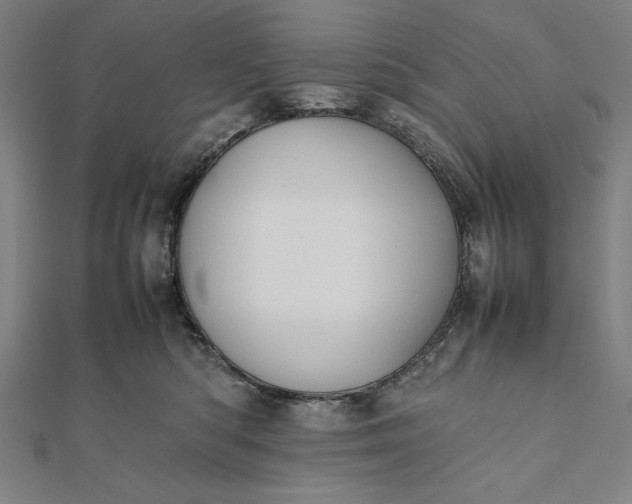 X0000112050422200908181140