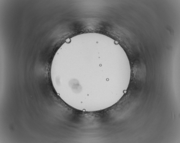 X0000112050423200908181140