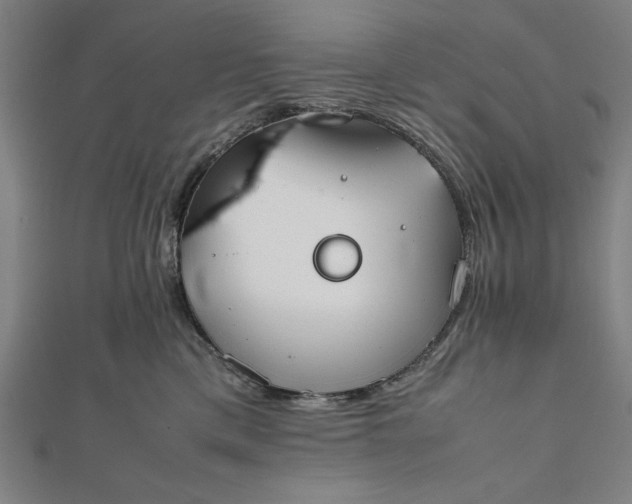 X0000112050425200908181140