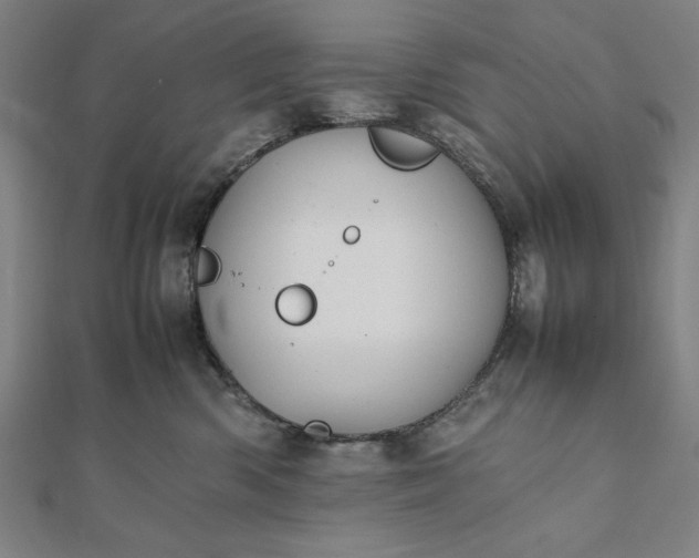 X0000112050426200908181140