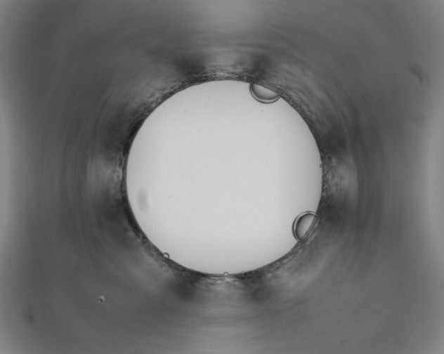 X0000112050427200908181140