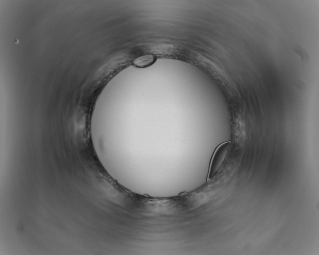 X0000112050428200908181140