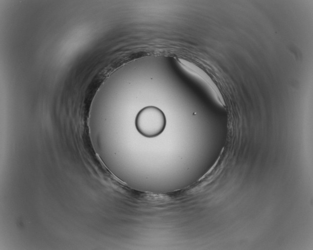 X0000112050429200908181140