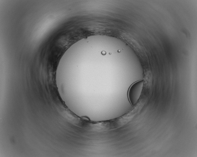 X0000112050430200908181140