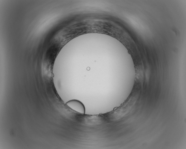 X0000112050431200908181140