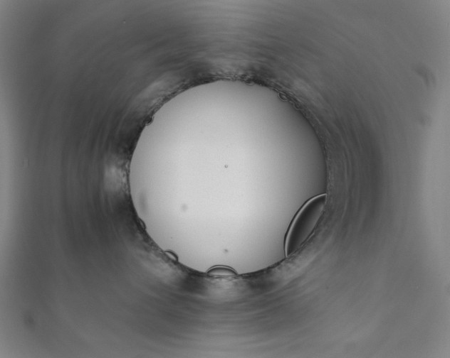 X0000112050432200908181140