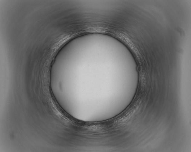 X0000112050433200908181140