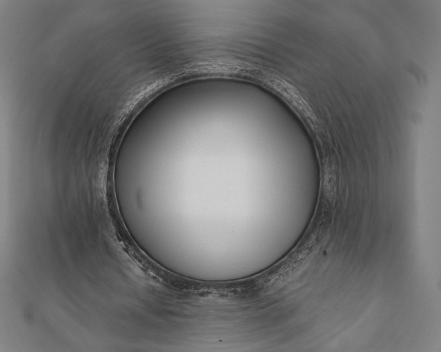 X0000112050434200908181140