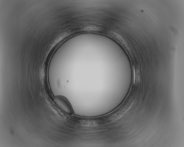 X0000112050435200908181140