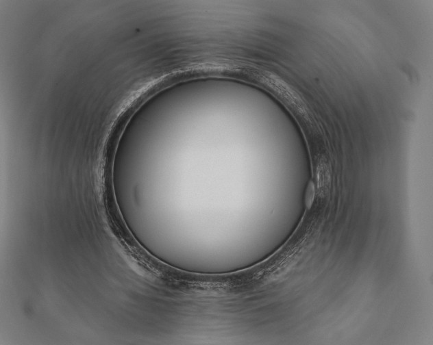 X0000112050436200908181140