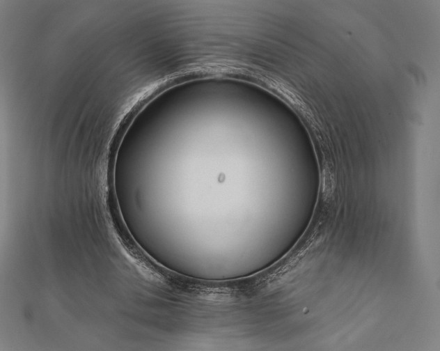 X0000112050438200908181140