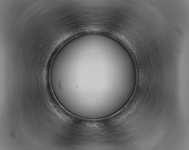 X0000112050439200908181140