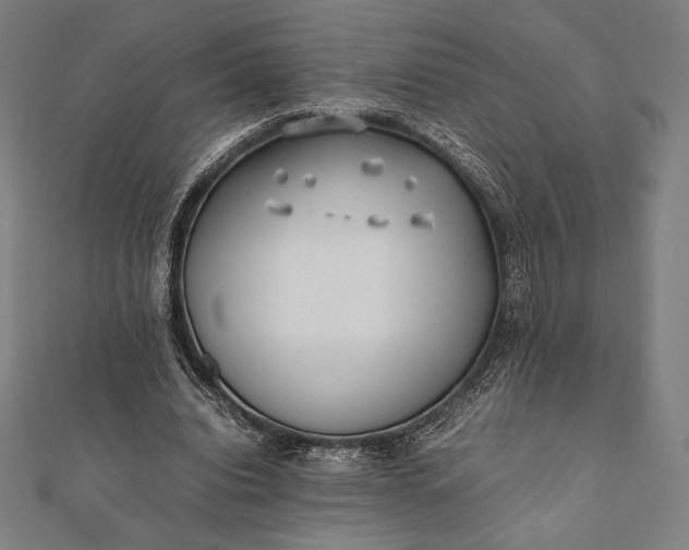 X0000112050440200908181140