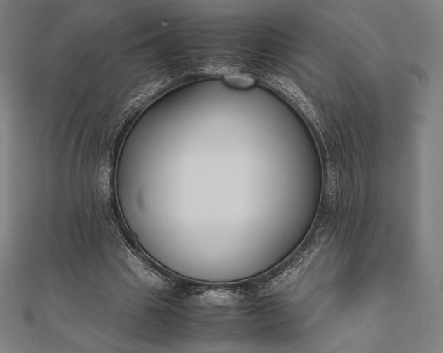 X0000112050441200908181140