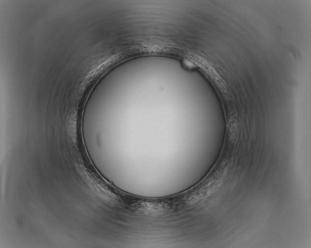 X0000112050442200908181140