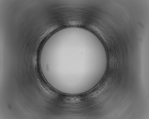 X0000112050443200908181140