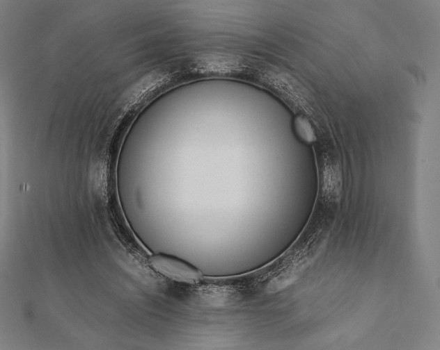 X0000112050444200908181140