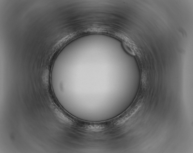 X0000112050445200908181140