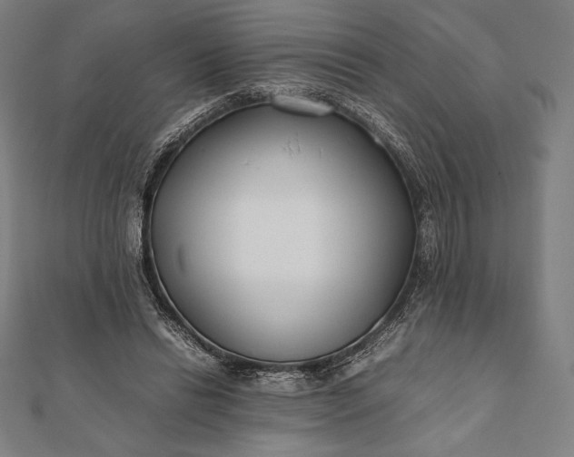 X0000112050446200908181140