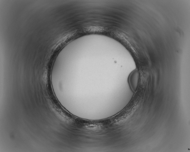 X0000112050447200908181140