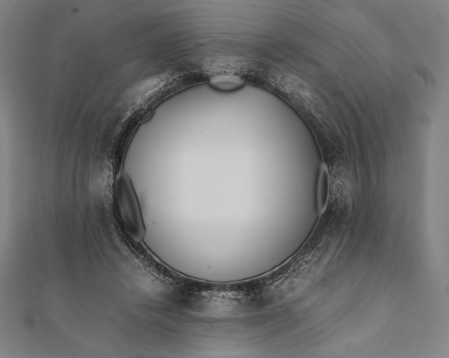 X0000112050448200908181140