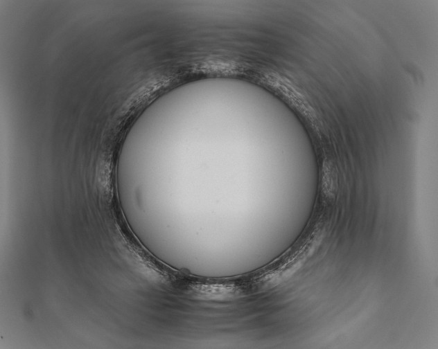 X0000112050449200908181140