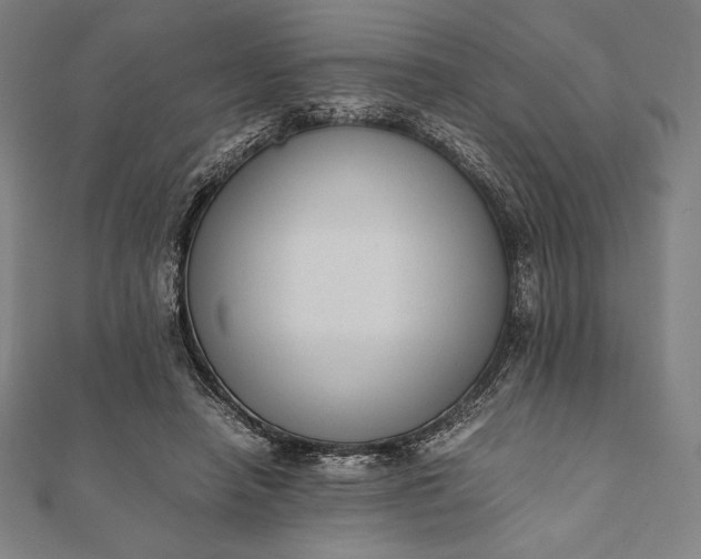 X0000112050450200908181140