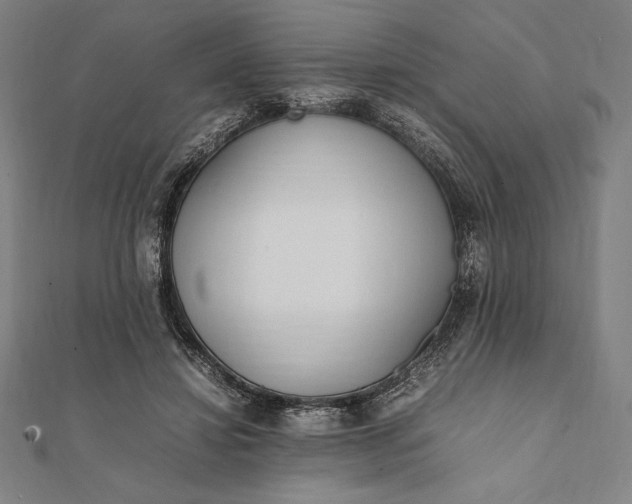 X0000112050452200908181140