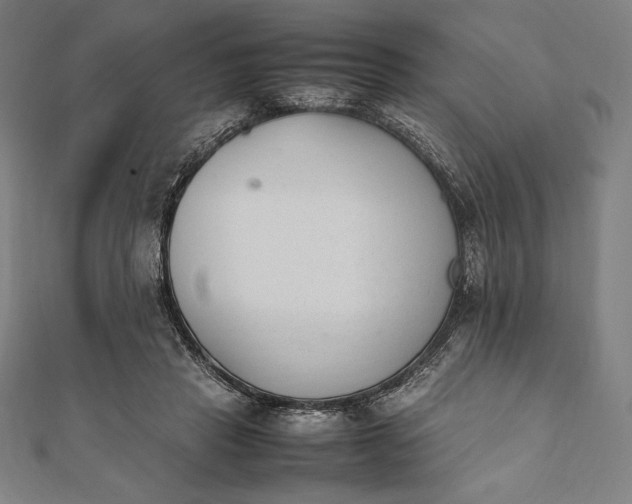 X0000112050453200908181140