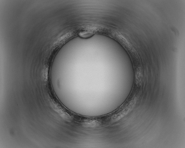 X0000112050454200908181140