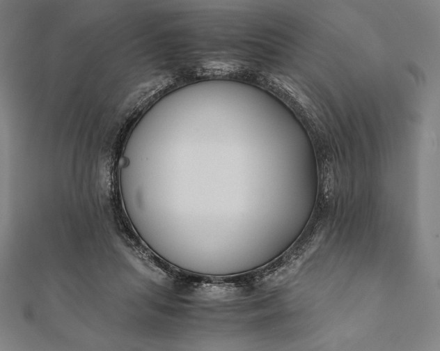 X0000112050455200908181140