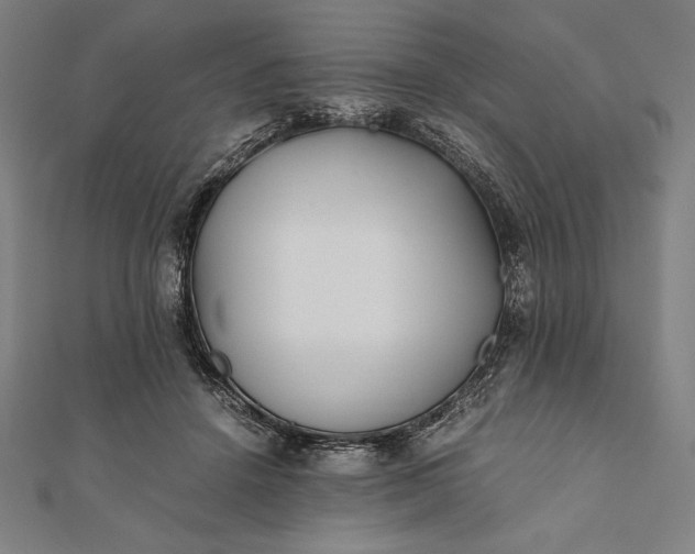 X0000112050456200908181140