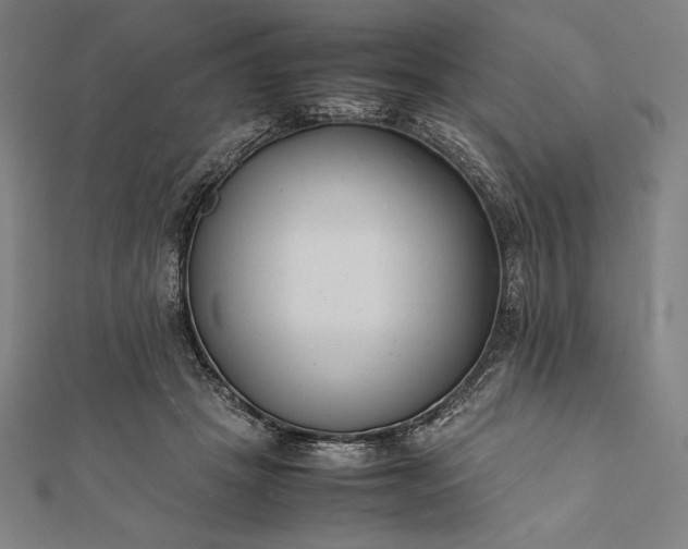 X0000112050457200908181140