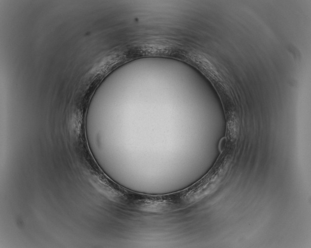 X0000112050458200908181140