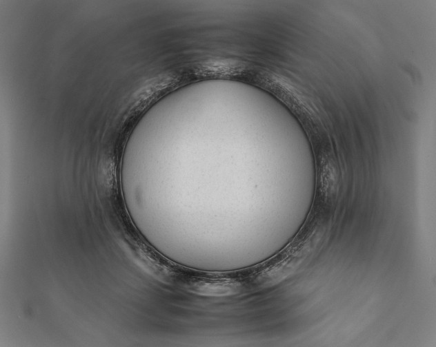 X0000112050459200908181140