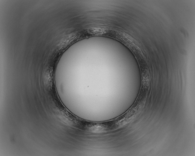 X0000112050460200908181140