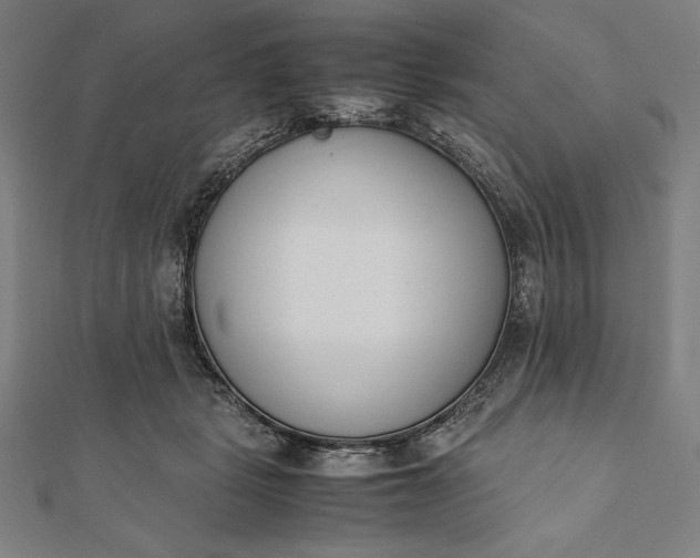 X0000112050461200908181140