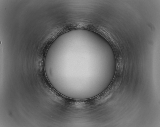 X0000112050462200908181140