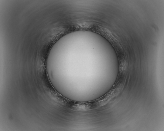 X0000112050464200908181140