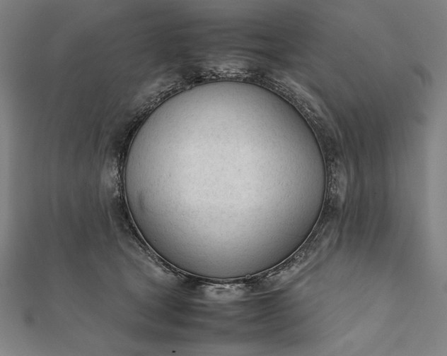 X0000112050465200908181140